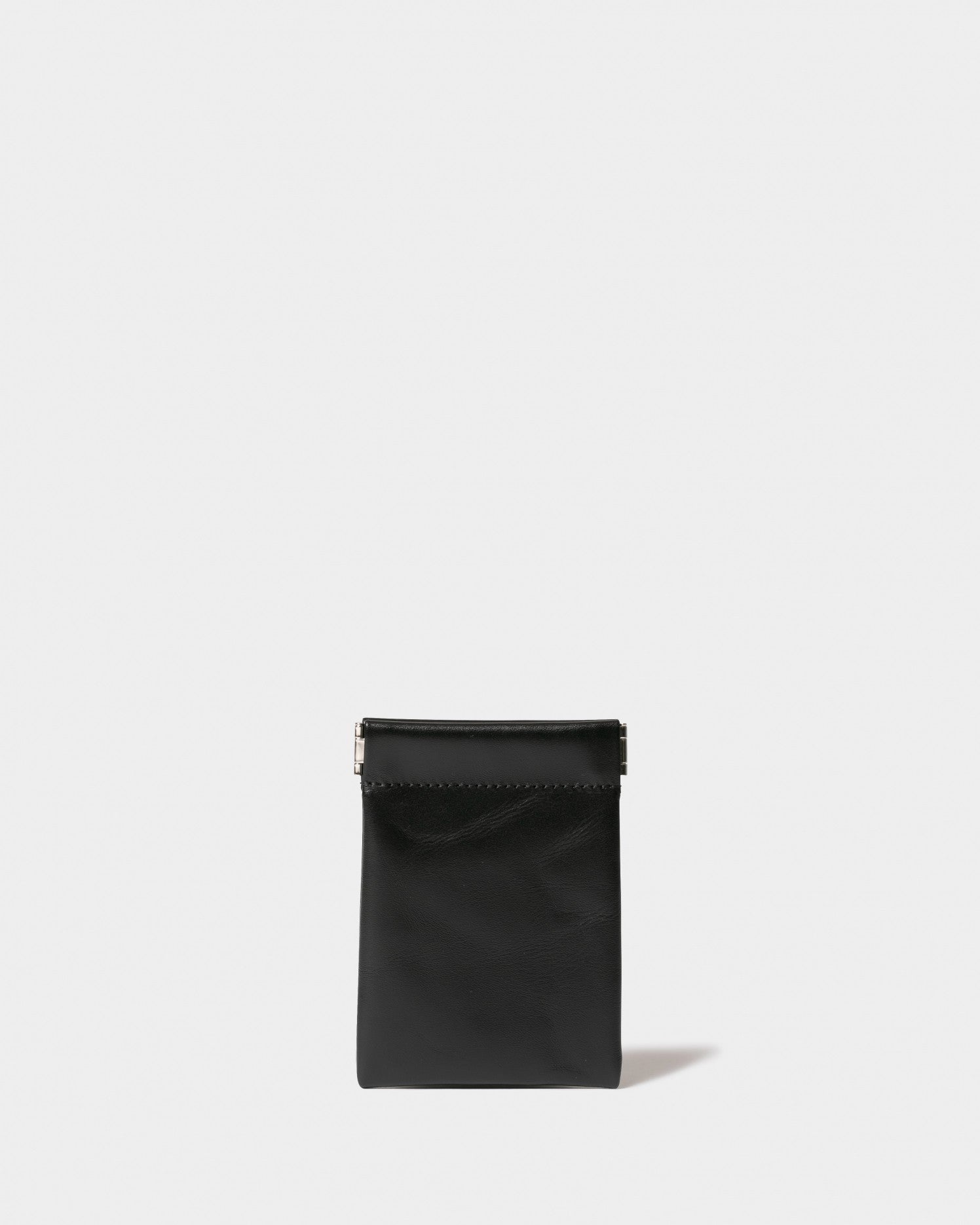 color leather small case