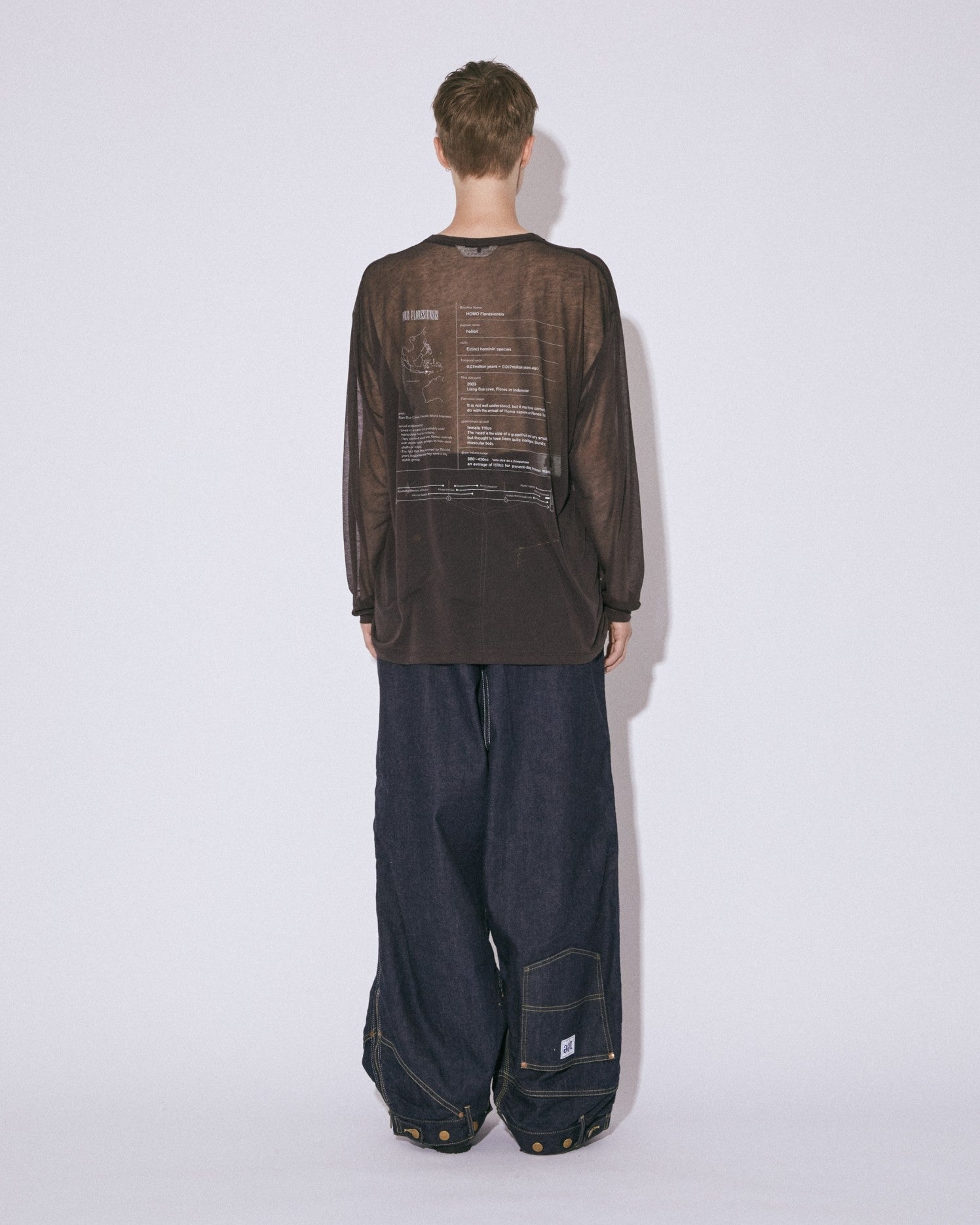 extinct hominin sheer jersey long T
