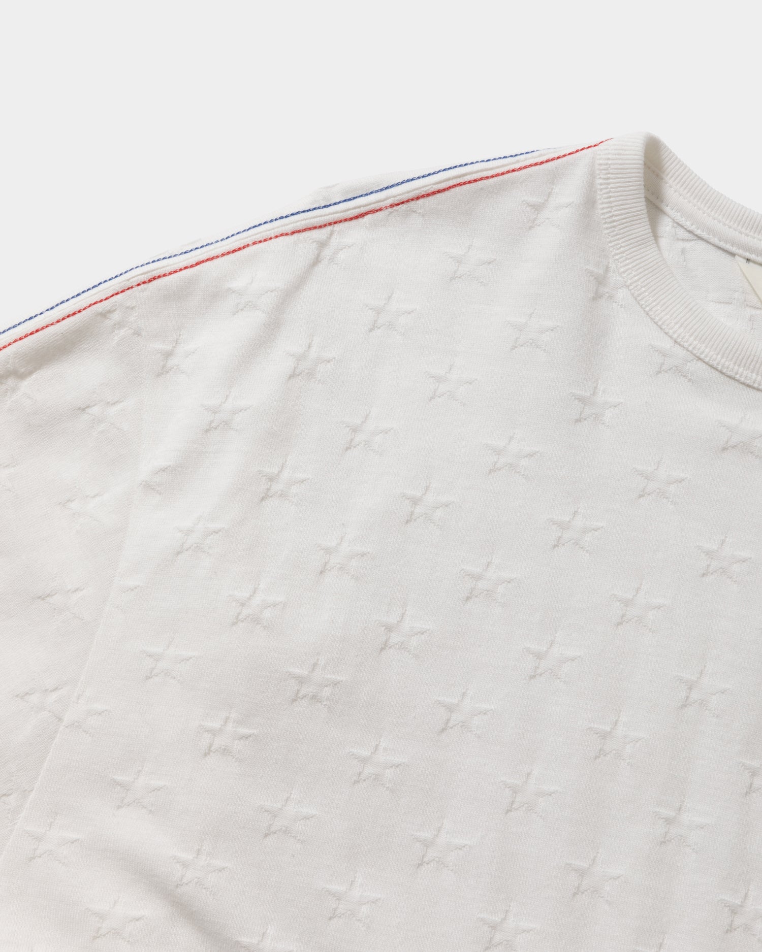 出回りなし! 芹那 Tシャツ 銀魚係 サイン入り Lサイズ 日本の古墳は世界一 デザイン乙型（緑） / まろぽけっと
